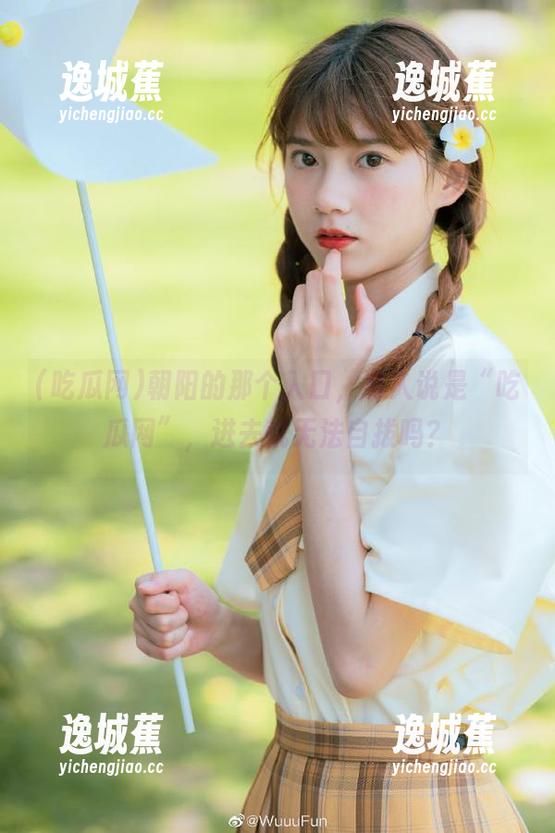 朝阳的那个入口，有人说是“吃瓜网”，进去就无法自拔吗？