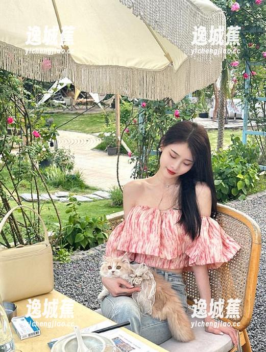 穿越八卦层层迷雾，黑料老司机导航带你直达真实